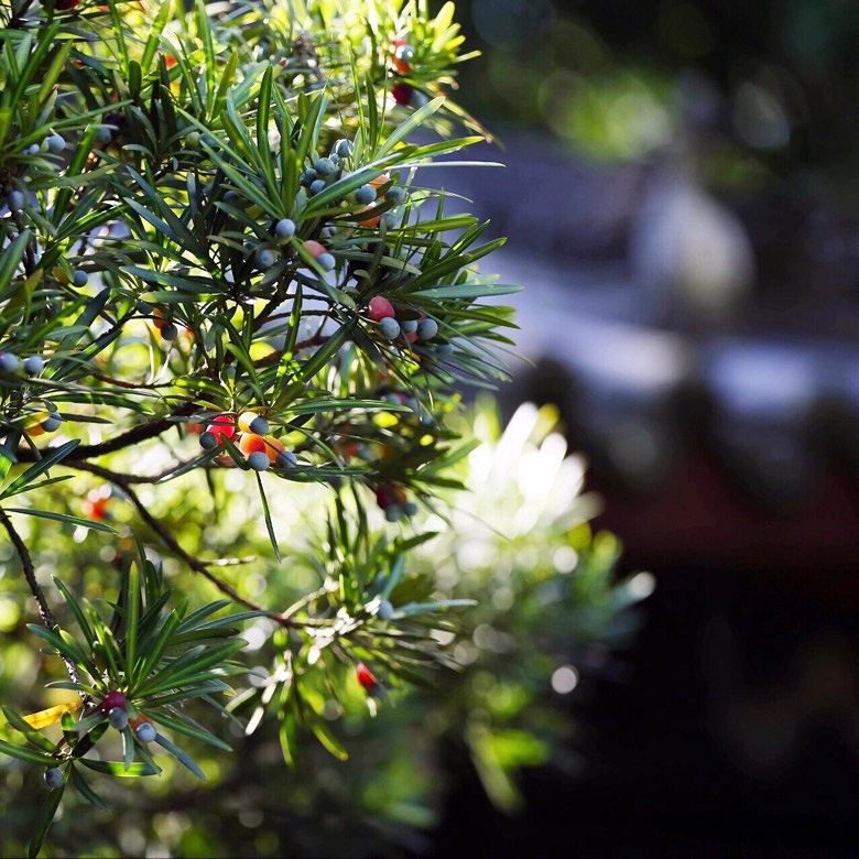 ���մ���