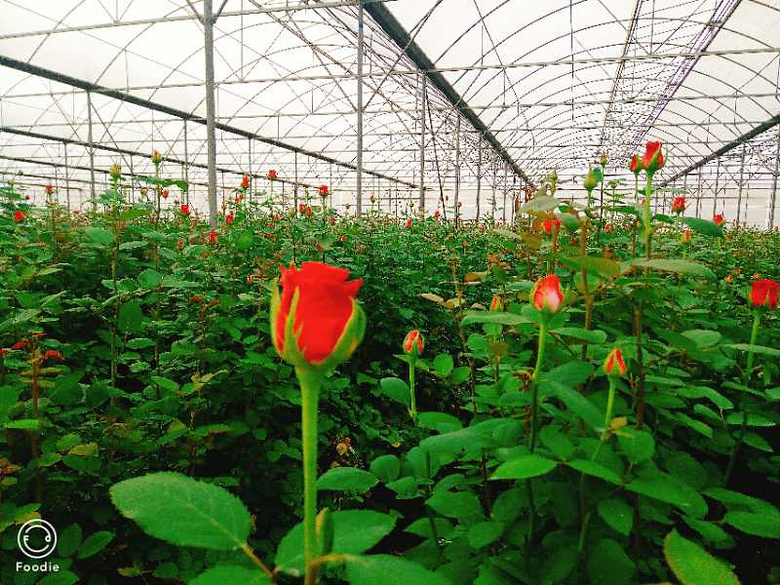 ��һ���Ҹ����ڼ��ˣ����ж��û�и�����һ���׻���