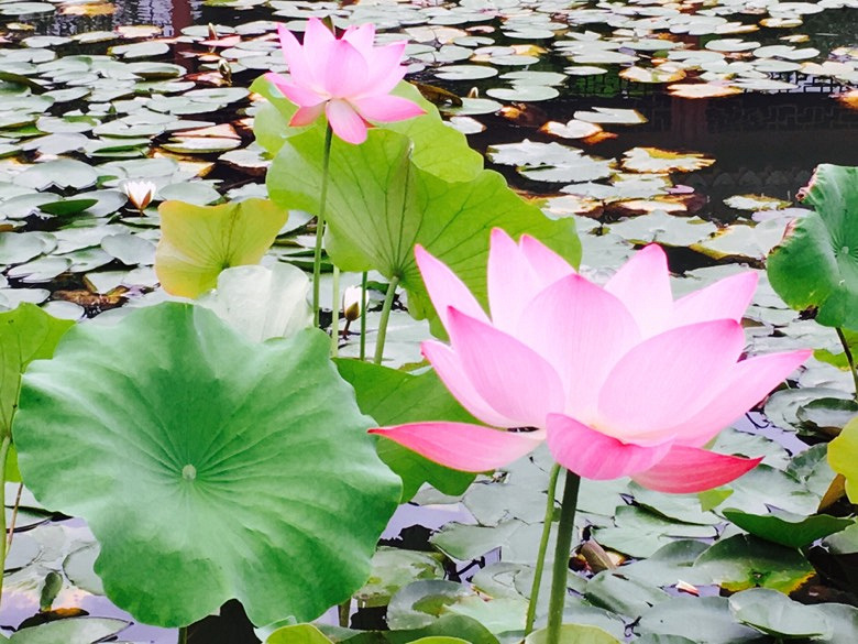 �������