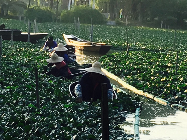 �Ϻ�������