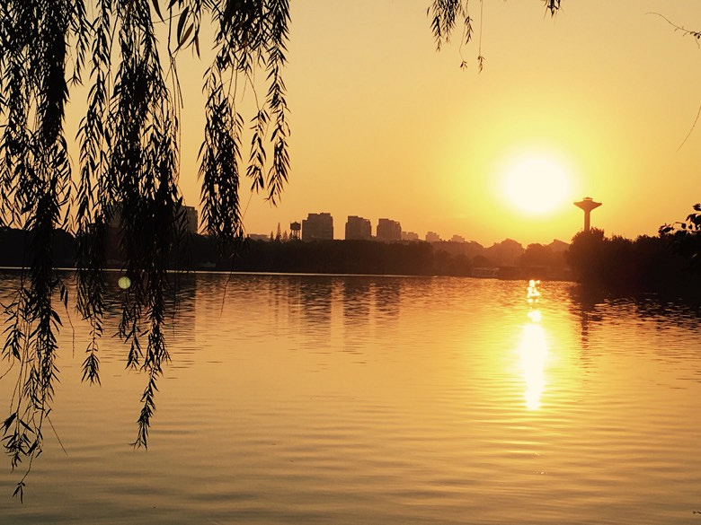 �Ϻ�������