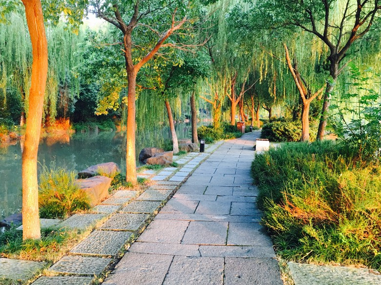 �Ϻ�������