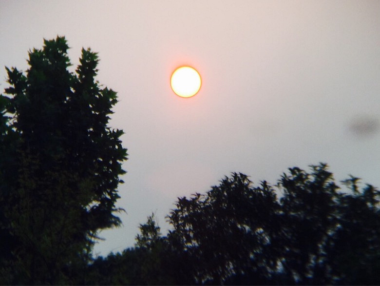 �Ϻ�������