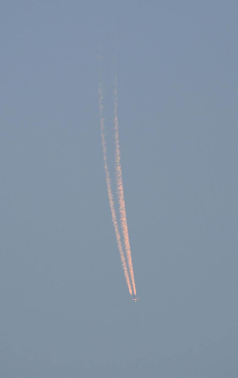 ���Ƿɻ����ǡ�������