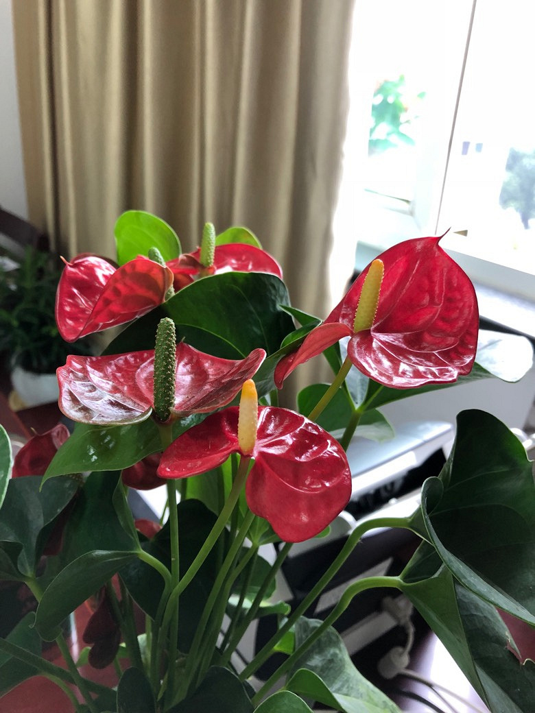 �����Ǹ�ֵ�ü��������