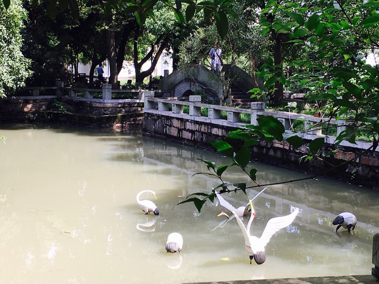 ����С����