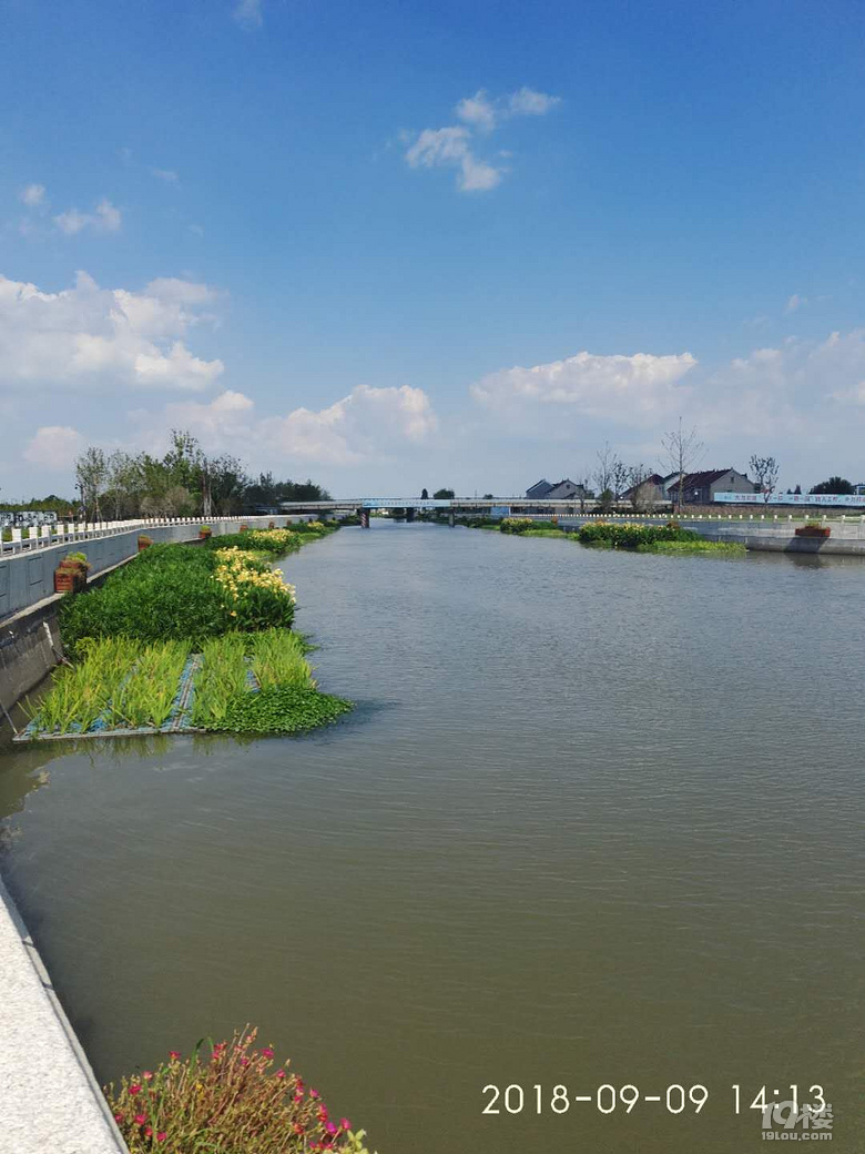 王江泾---长虹公园-早知道-讲空头-嘉兴19楼