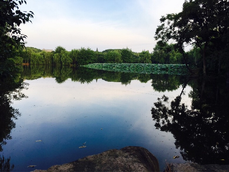 ��ʦ�ڿ���