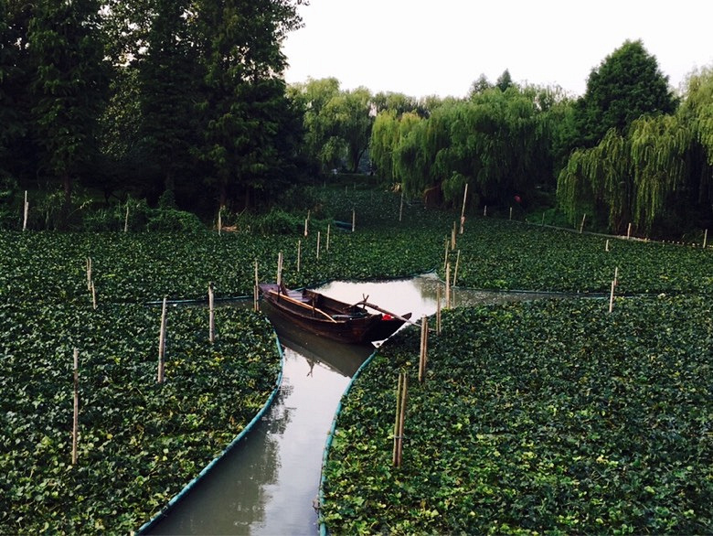 ��ʦ�ڿ���