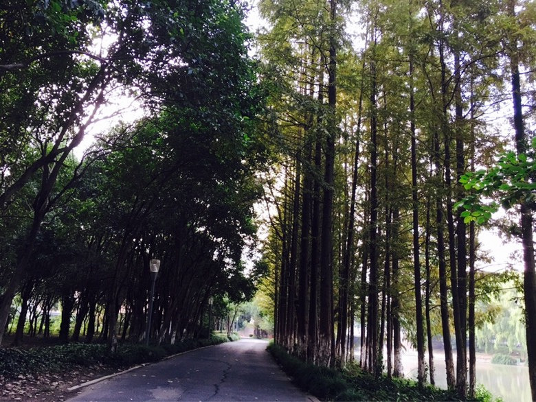 ��ʦ�ڿ���