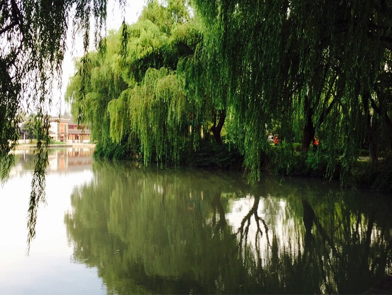 ��ʦ�ڿ���