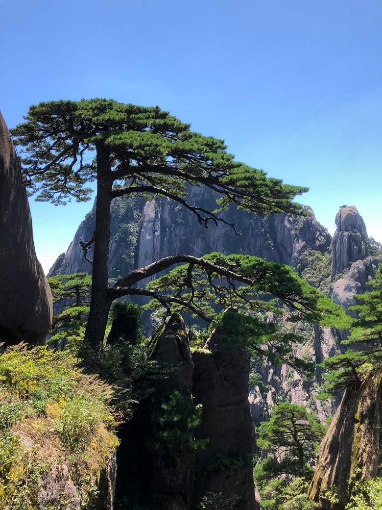 �����޲����������£���������ϸ衣