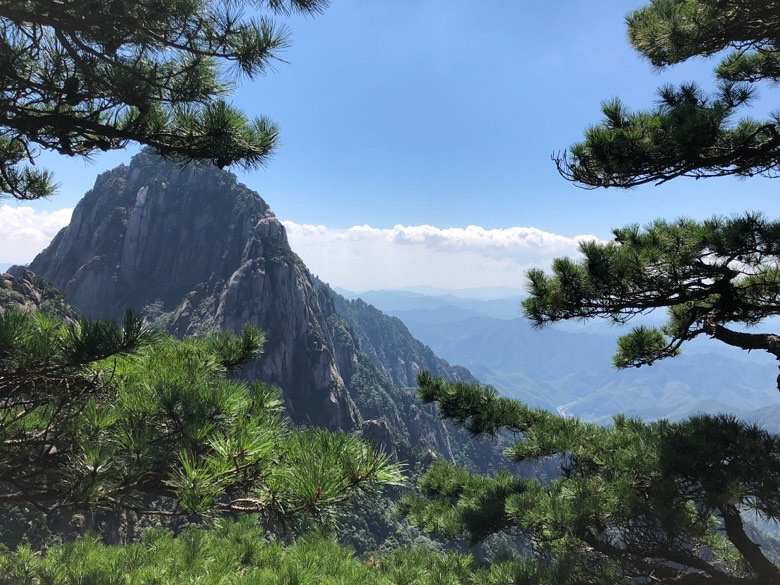 �����޲����������£���������ϸ衣