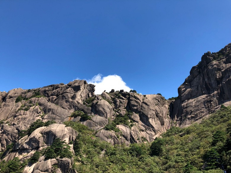 �����޲����������£���������ϸ衣