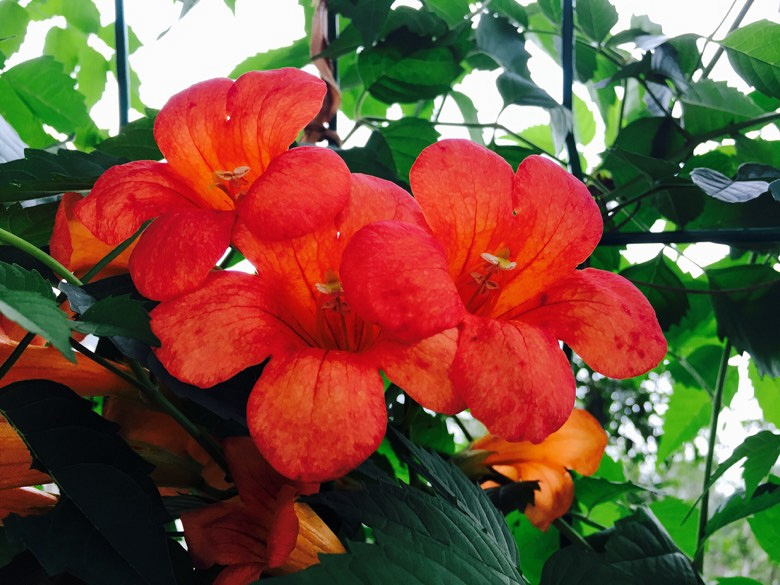 ��ʹ���ɹ���Ҳ�����ڿհ�