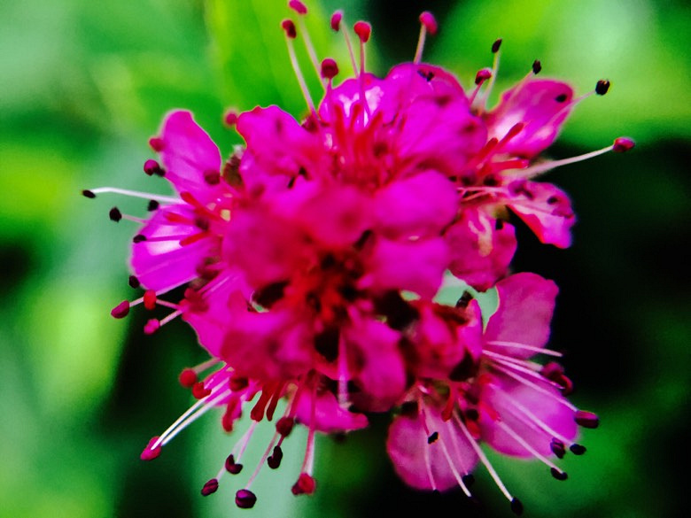 ��ʹ���ɹ���Ҳ�����ڿհ�