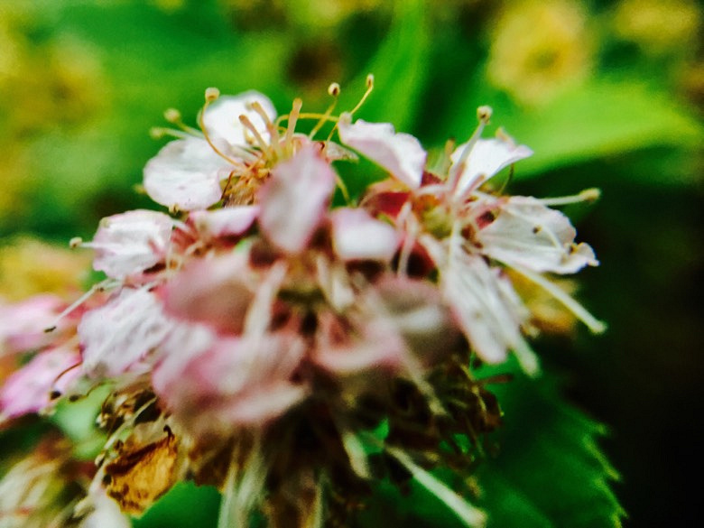 ��ʹ���ɹ���Ҳ�����ڿհ�