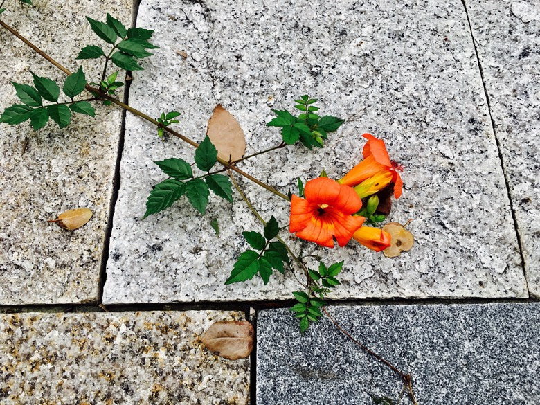 ��ʹ���ɹ���Ҳ�����ڿհ�