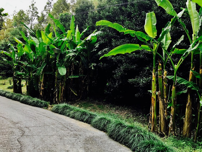 ��ʹ���ɹ���Ҳ�����ڿհ�