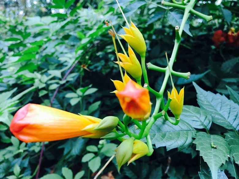 ��ʹ���ɹ���Ҳ�����ڿհ�