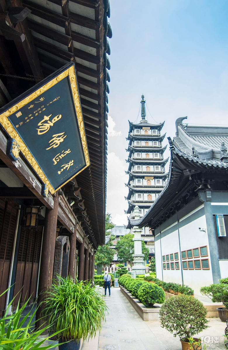 真如塔-我拍我秀-摄影俱乐部-嘉兴19楼