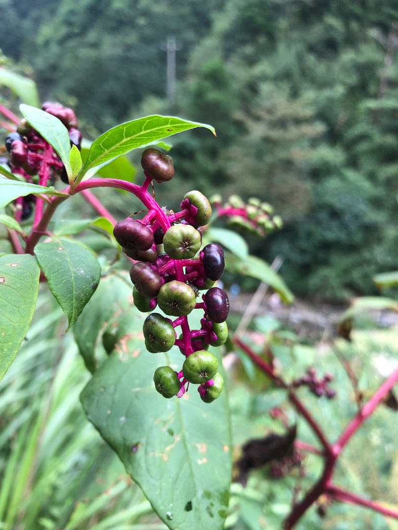 �۲������ţ�