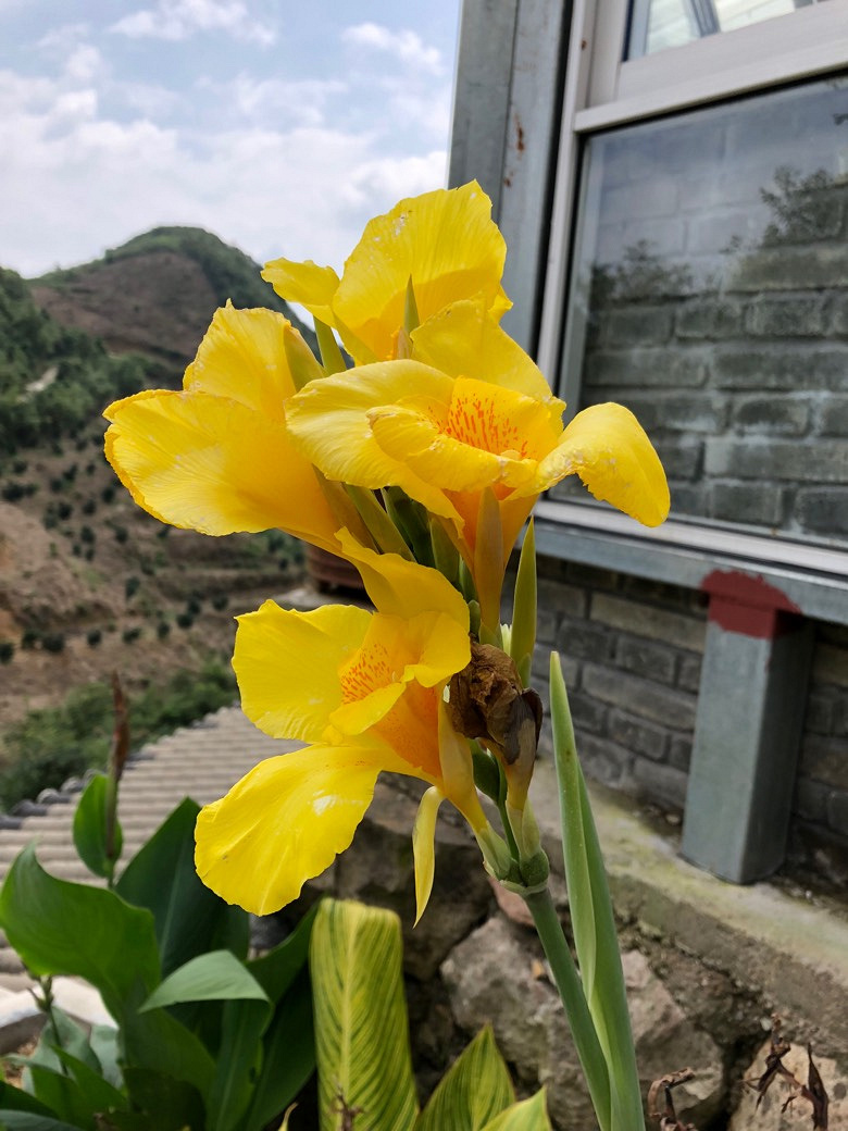 �۲������ţ�