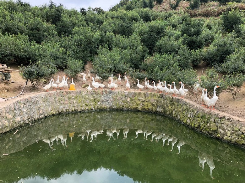 �۲������ţ�