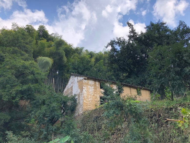 �۲������ţ�