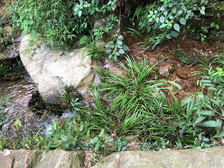 �۲������ţ�