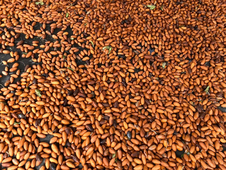 �۲������ţ�