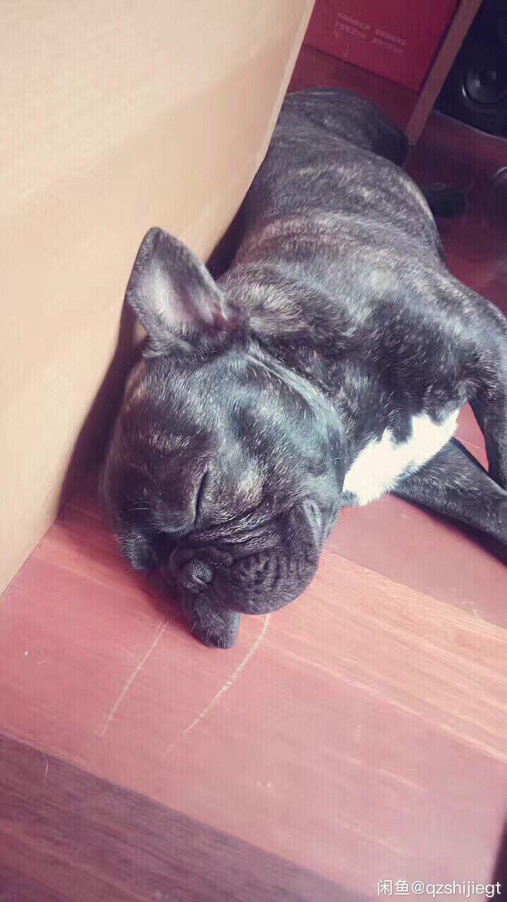 ������ţȮ