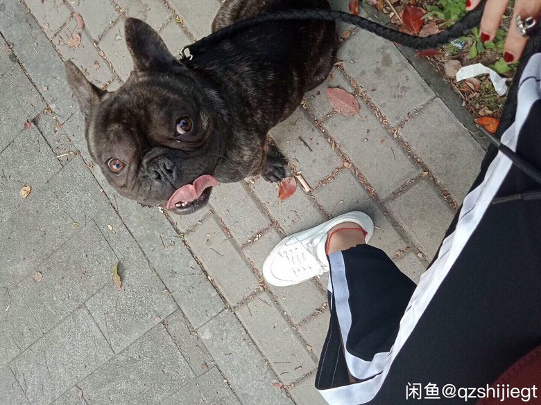 ������ţȮ