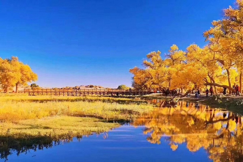 �������ܾ������⣬�����ܻ���ϲ�ΰ롣�Ĵ�