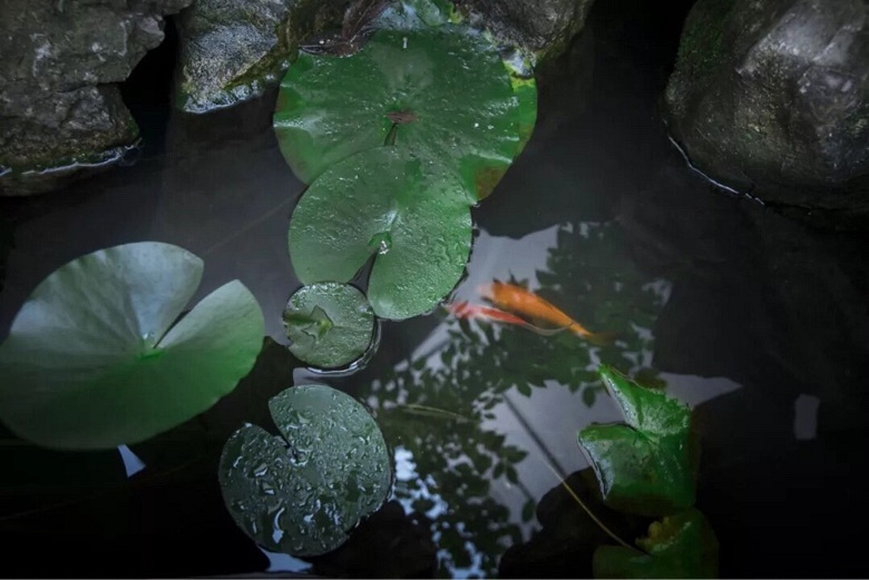 ���������ã�����������