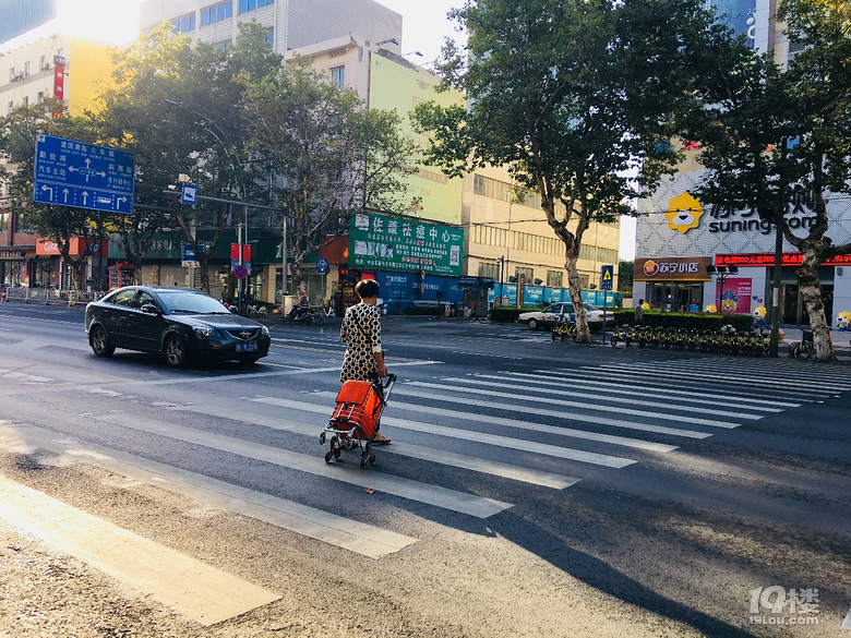 【礼让斑马线 记者在出击】嘉兴这些不礼让斑马线的车子要曝光了