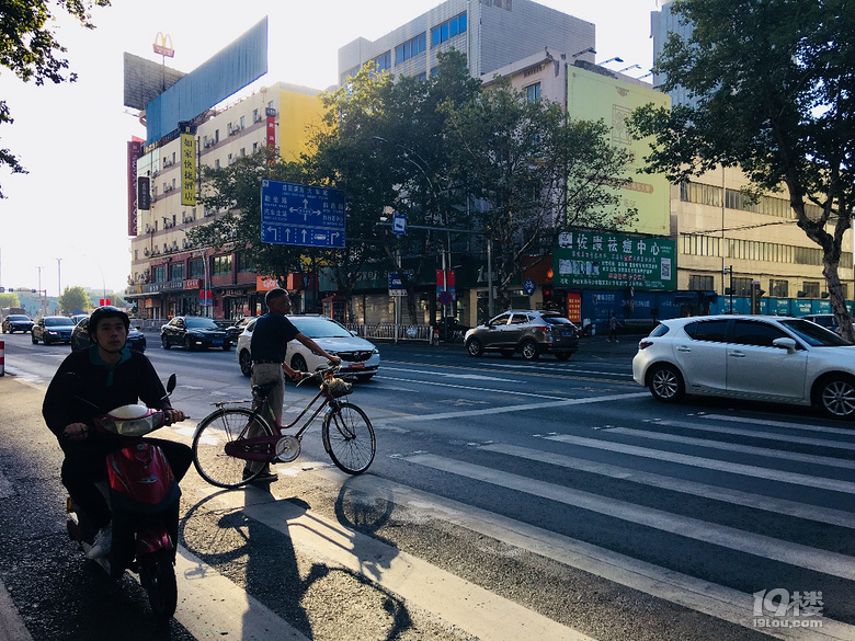 【礼让斑马线 记者在出击】嘉兴这些不礼让斑马线的车子要曝光了