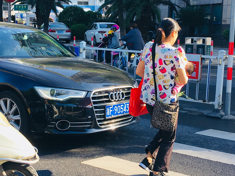 【礼让斑马线 记者在出击】嘉兴这些不礼让斑马线的车子要曝光了