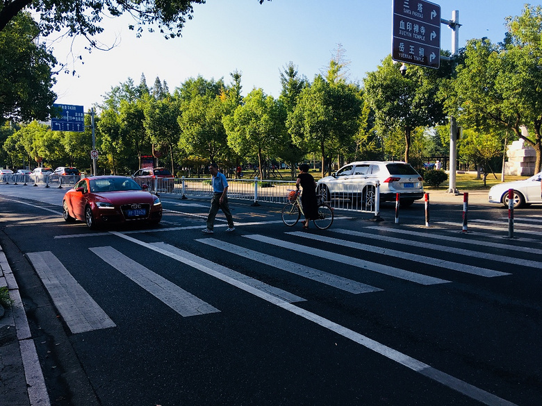 【礼让斑马线 记者在出击】嘉兴这些不礼让斑马线的车子要曝光了