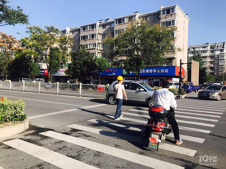【礼让斑马线 记者在出击】嘉兴这些不礼让斑马线的车子要曝光了