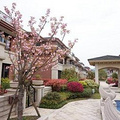 诸暨龙山豪庭楼盘详情介绍,诸暨龙山豪庭售楼部电话13305819466