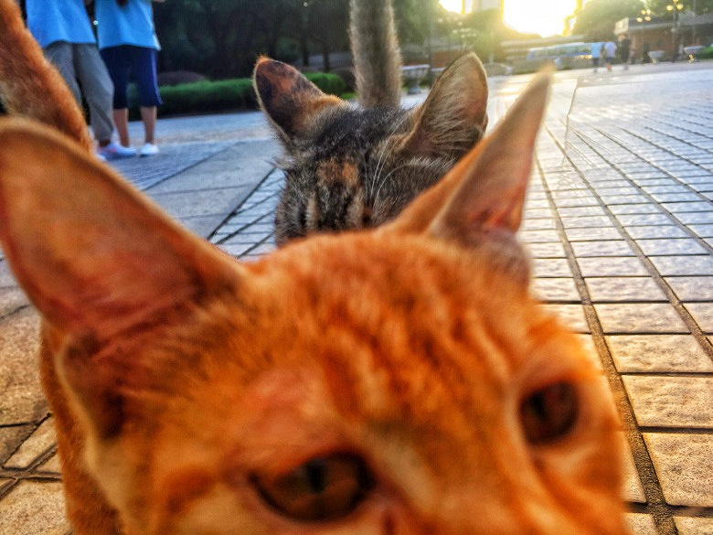 ����һ��Уè