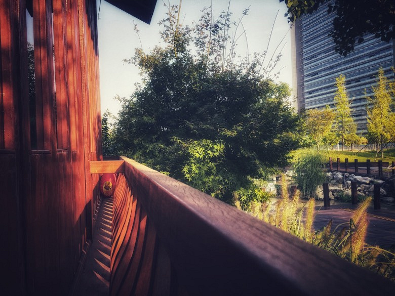 �Ϻ���ͬ�ô�ѧ�Ȳ�ض�