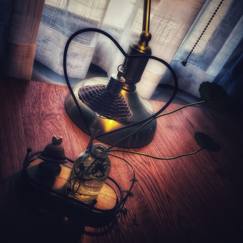 �Ϻ�����︽������è����