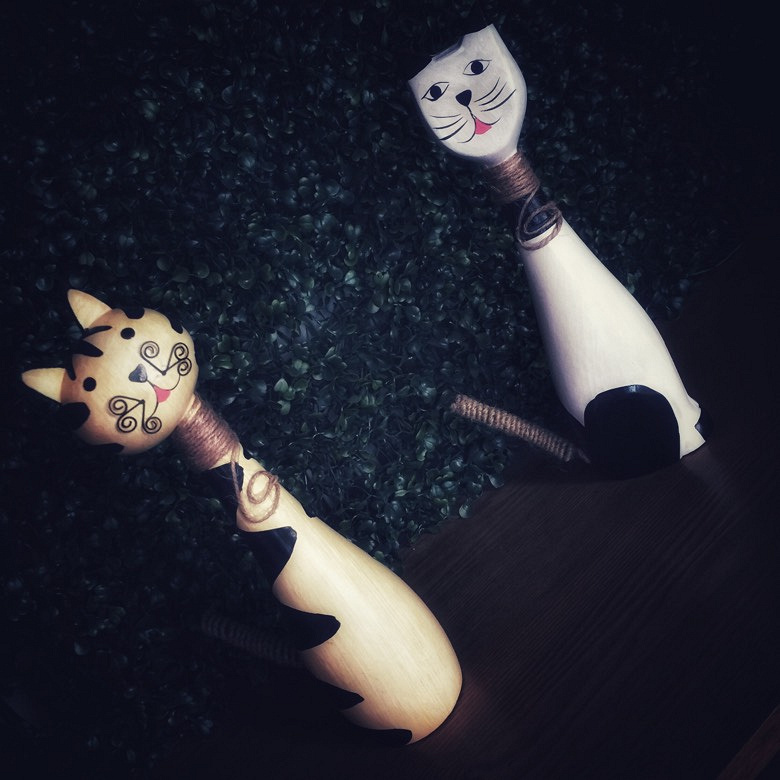 �Ϻ�����︽������è����