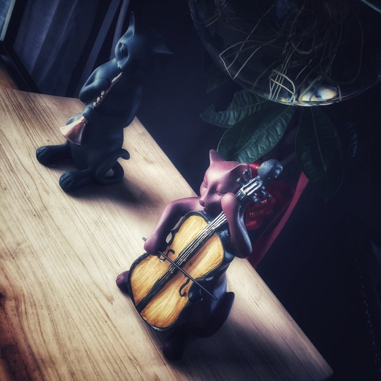 �Ϻ�����︽������è����