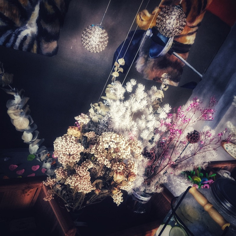 �Ϻ�����︽������è����