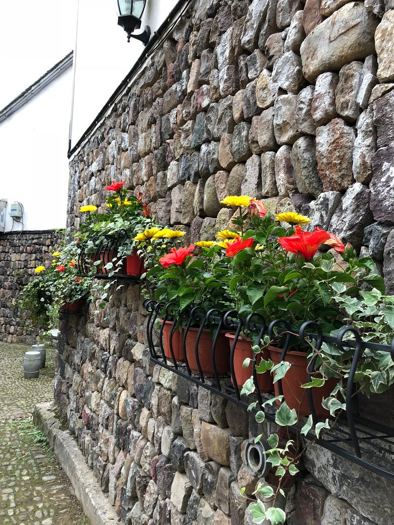 ����ɽ̽��