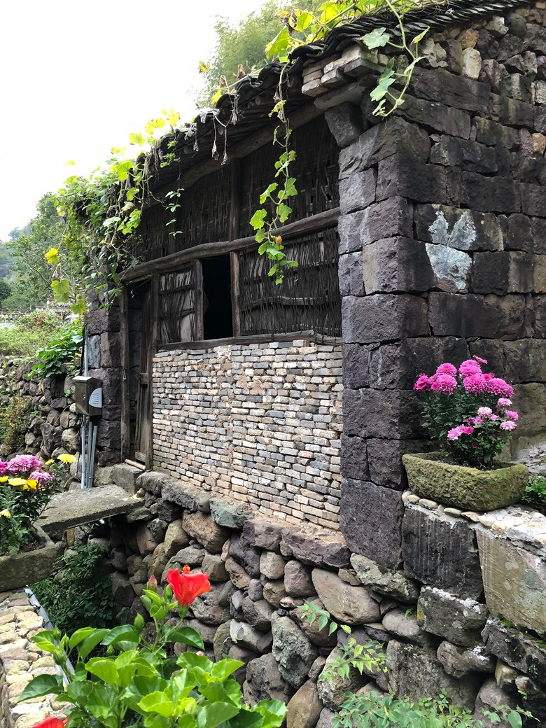 ����ɽ̽��