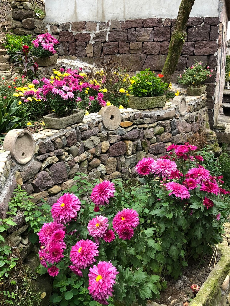 ����ɽ̽��